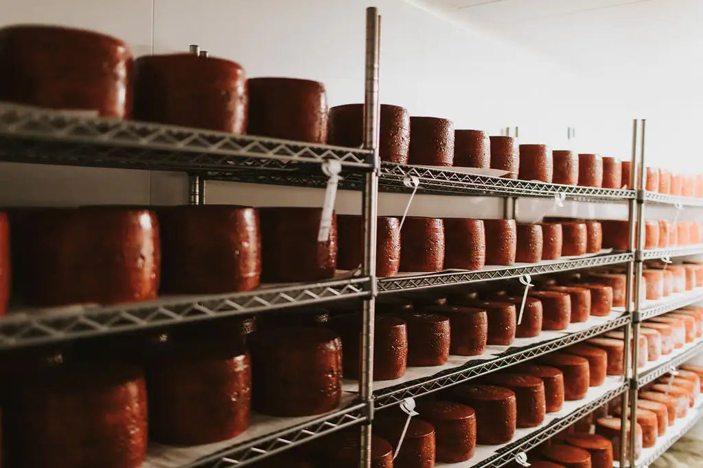 Cote Hill Farm: The Lincolnshire Family Behind Britain's Best Cheese