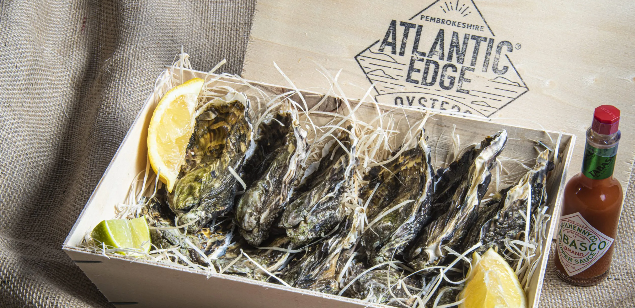 Introducing Atlantic Edge Oysters: Fresh from the Pembrokeshire Coast to Your Table
