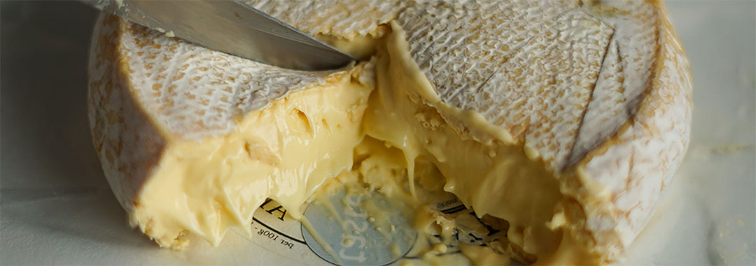 Producer spotlight: Village Maid Cheese
