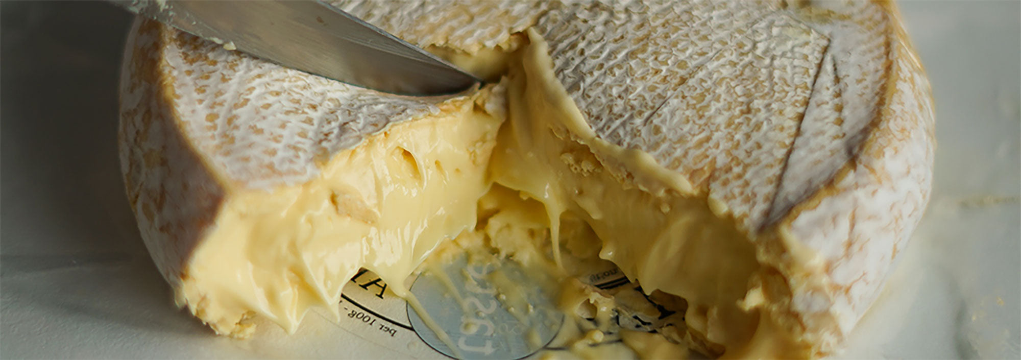 Producer spotlight: Village Maid Cheese