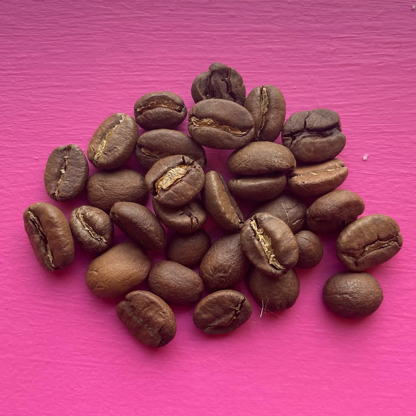 Producer spotlight: introducing Bute Coffee – Farmfetch