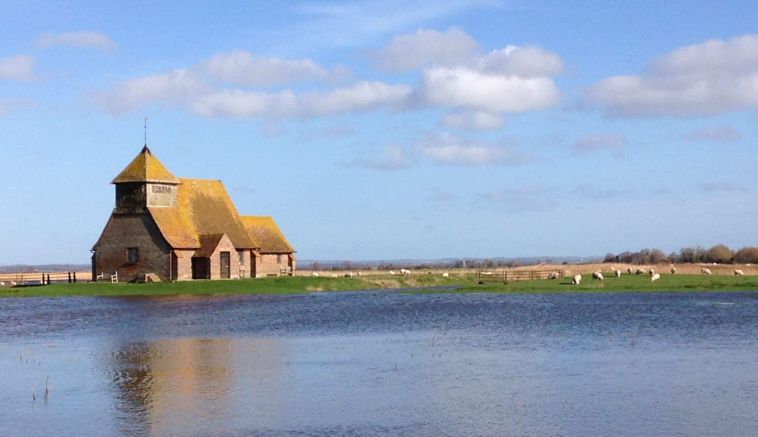 What makes Salt Marsh Lamb different?