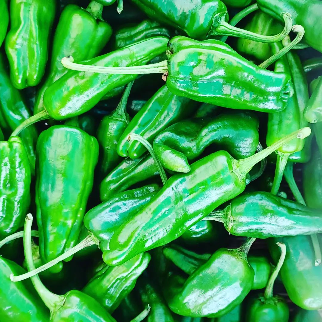 Cornish Chillies