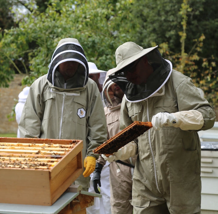 The Beeble Idler Beekeeping Day (October 11th 2025)