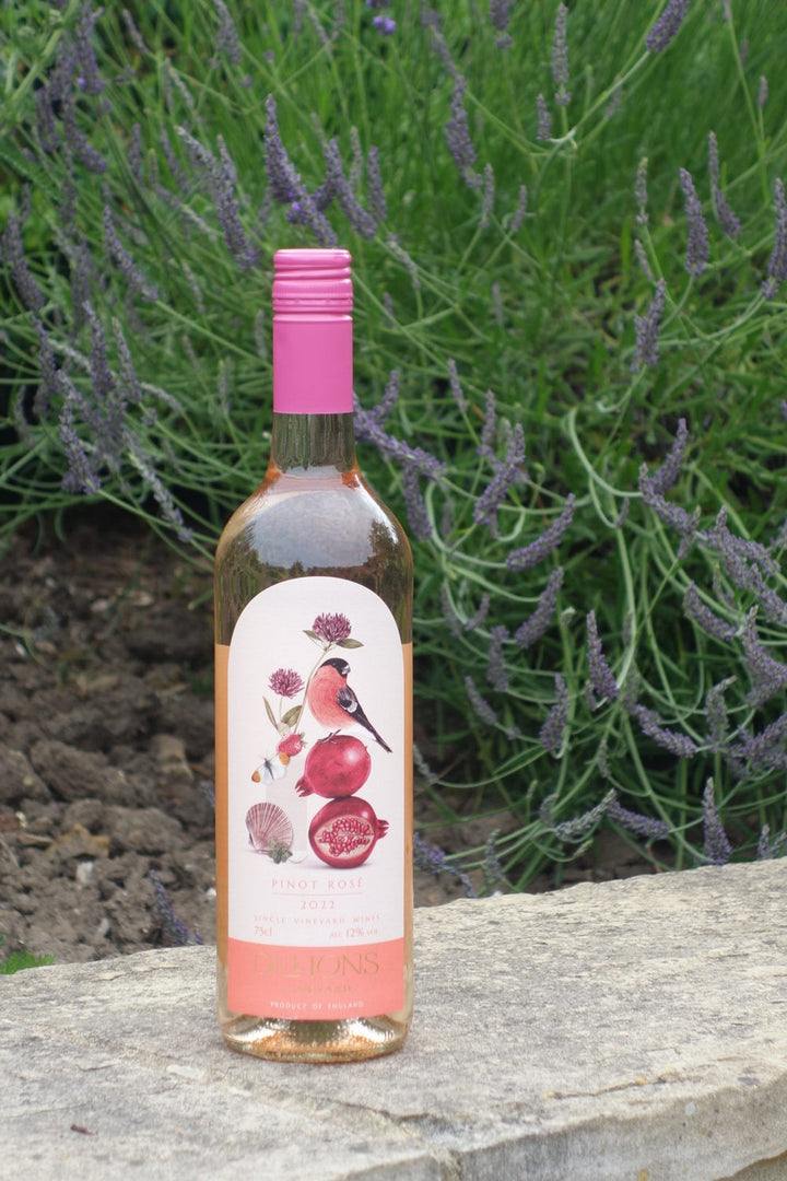 Dillions Wine Duo Gift Box