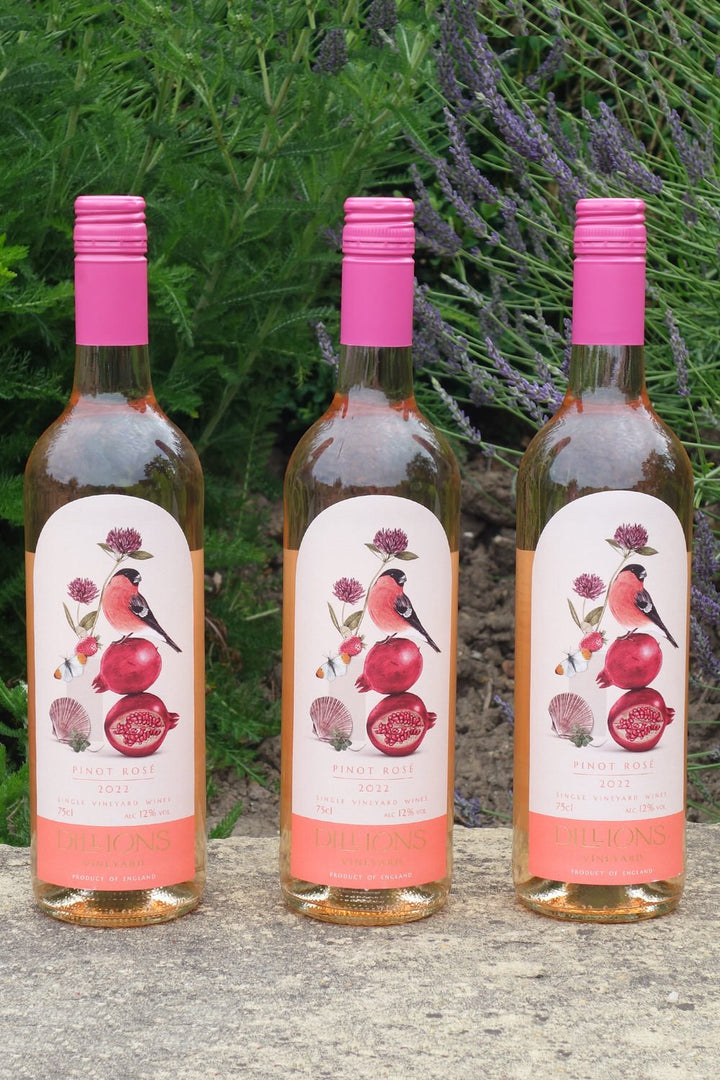 Dillions Pinot Rosé 2023