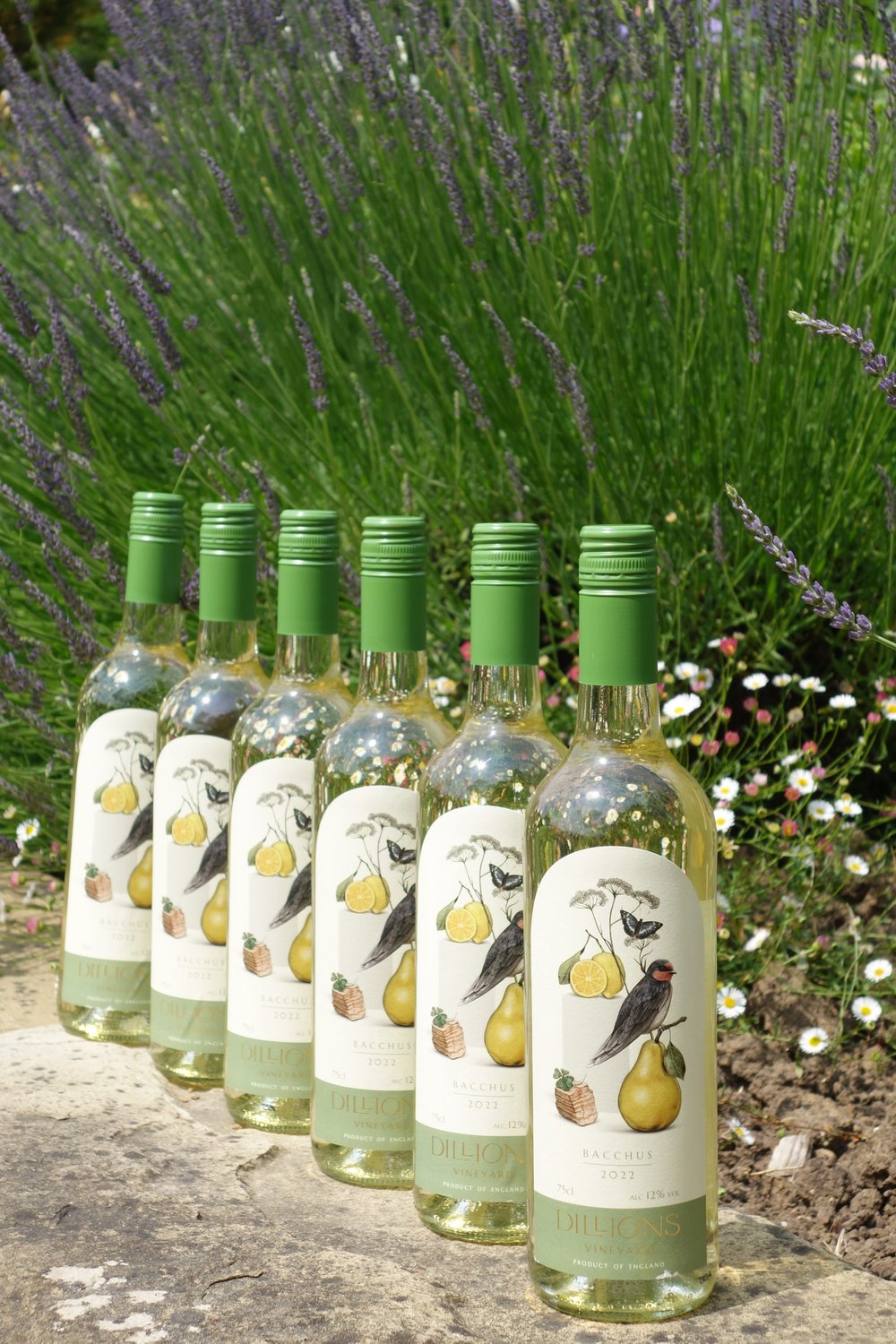 Dillions Bacchus White 2023