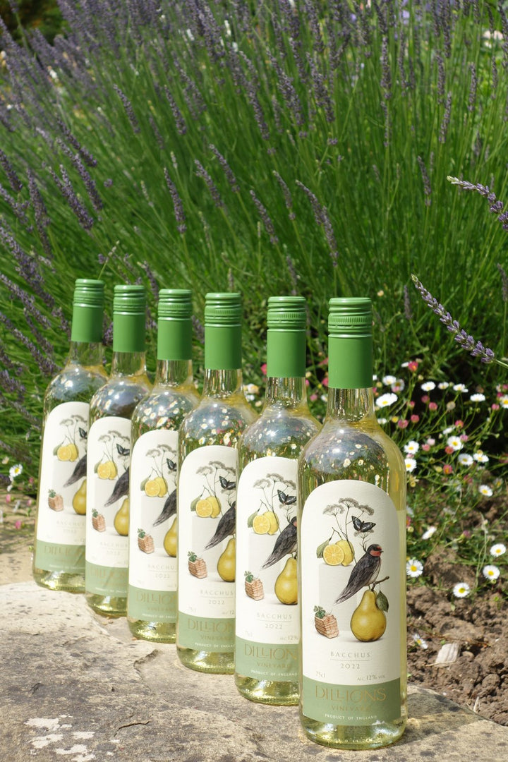 Dillions Bacchus White 2023