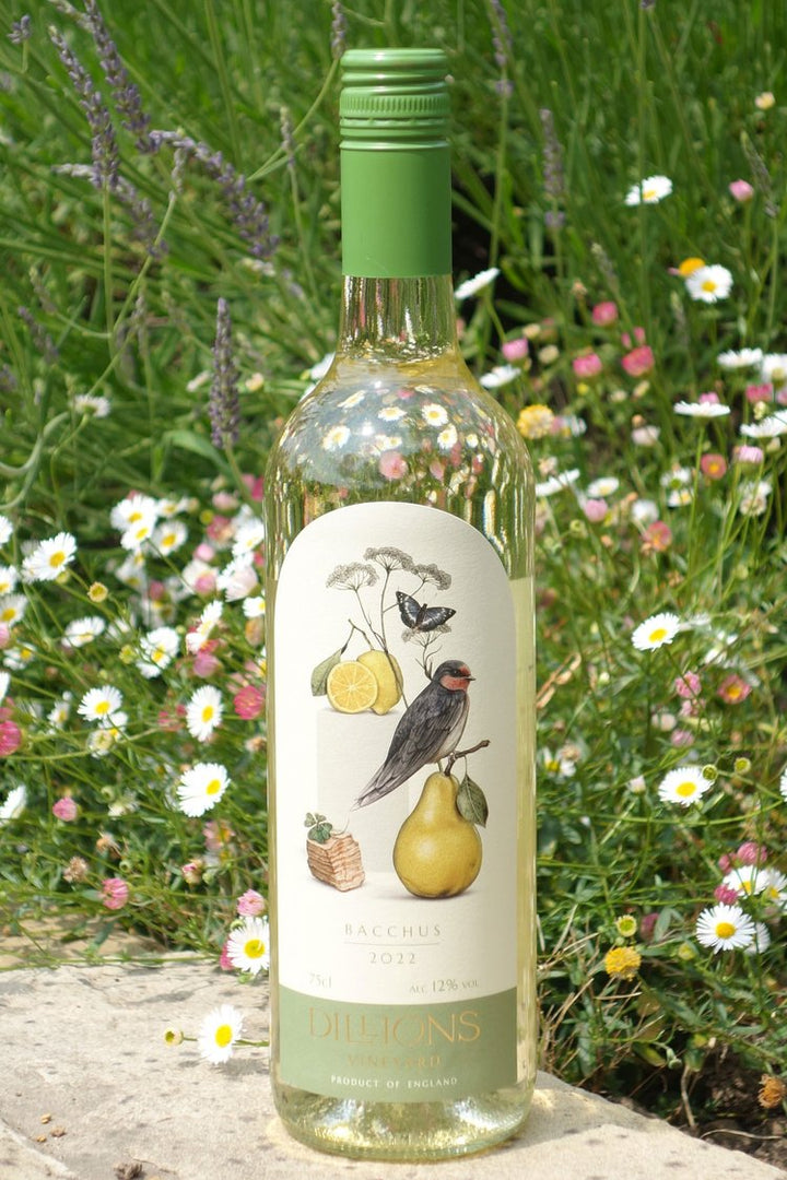 Dillions Bacchus White 2023