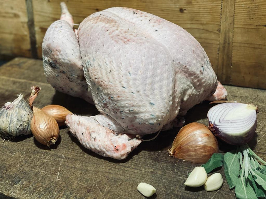 Whole white free range turkey from John Howe, Kent