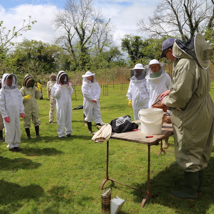 The Beeble Idler Beekeeping Day (October 11th 2025)