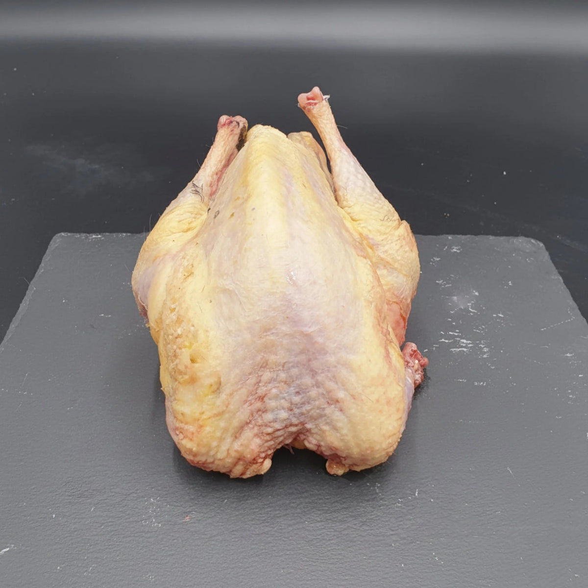 Wild Brace Pheasants